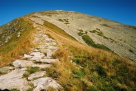 Podejocie na Jarz1bczy Wierch (2137)