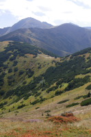 Droga na Wo3owiec z Grzesia