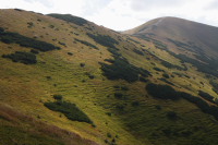 Miedzy Grzesiem a Rakoniem