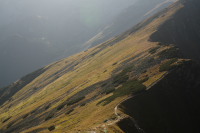 Miedzy Lapat1 a Jarz1bczym Wierchem