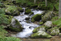 Starobocianski Potok