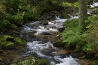 Starobocianski Potok