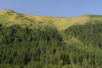 Trzydniowianski Wierch 2/2