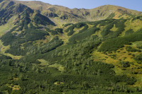 Dolina Starobocianska