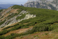 Z Ornaka ku Iwanickiej Prze3eczy