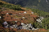 Z Ornaka ku Iwanickiej Prze3eczy