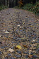 bliskie spotkanie z drog1