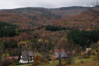 jesienny przeplataniec