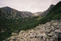 przed Stawem G1sienicowym