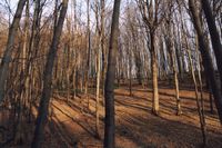 Wiecz贸r na Cergowej