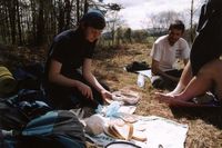 Owie?a dostawa jedzenia i konsumpcja