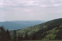 widok z Klimczoka (1117)