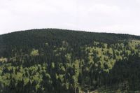 Malinowska Ska3a (1152)