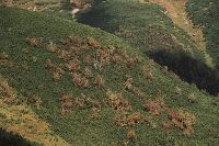 Zbocze Kopy Kondrackiej