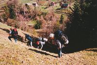 wspinaczka na Borsuczyny