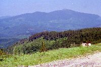 Widok na Babi1 Góre