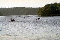 i odp3yneli w sin1 dal